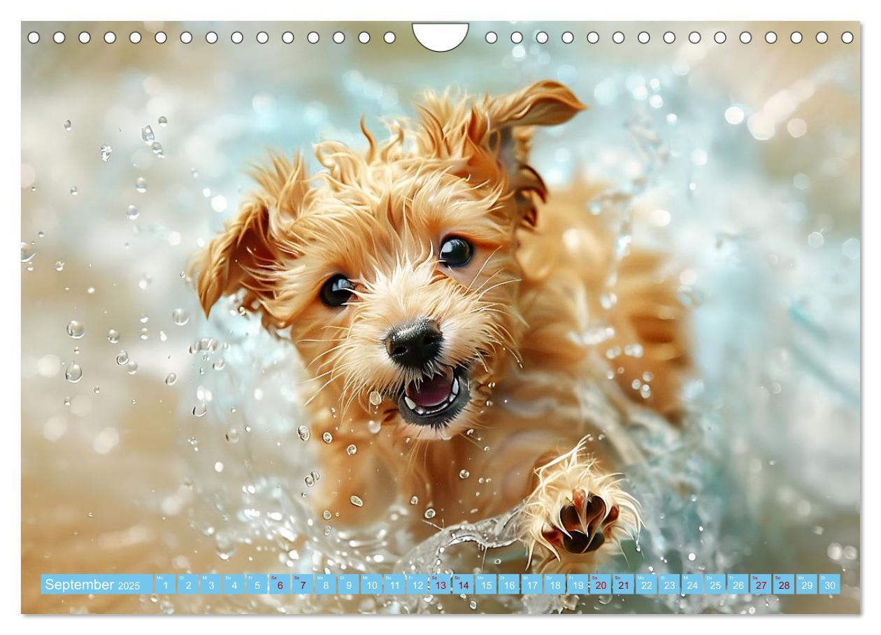 Bild: 9783457129227 | Hunde und Wasser (Wandkalender 2025 DIN A4 quer), CALVENDO...