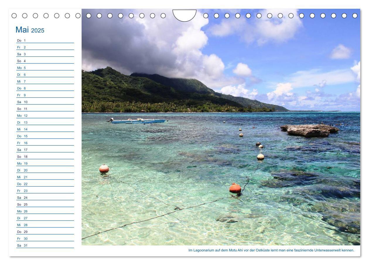 Bild: 9783435509874 | Südsee-Insel Mo'orea (Wandkalender 2025 DIN A4 quer), CALVENDO...