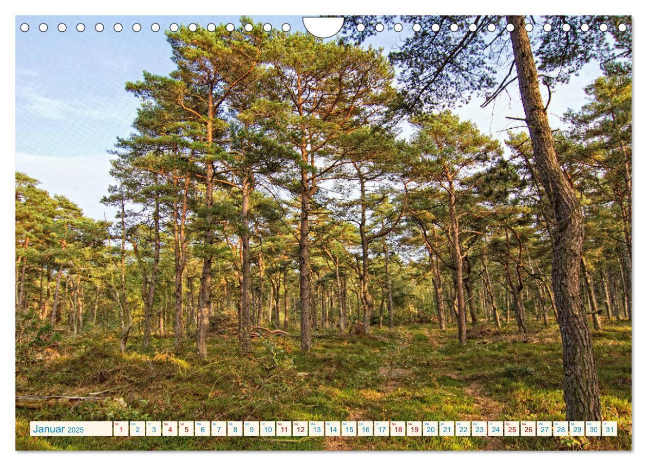 Bild: 9783435428762 | Cuxhaven, Landschaften zwischen Küste und Heide (Wandkalender 2025...