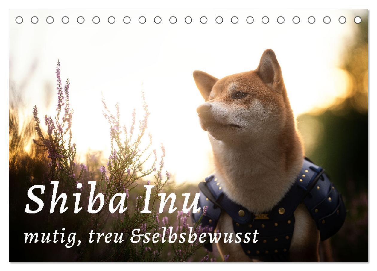 Cover: 9783435050956 | Shiba Inu - mutig, treu, selbstbewusst (Tischkalender 2025 DIN A5...