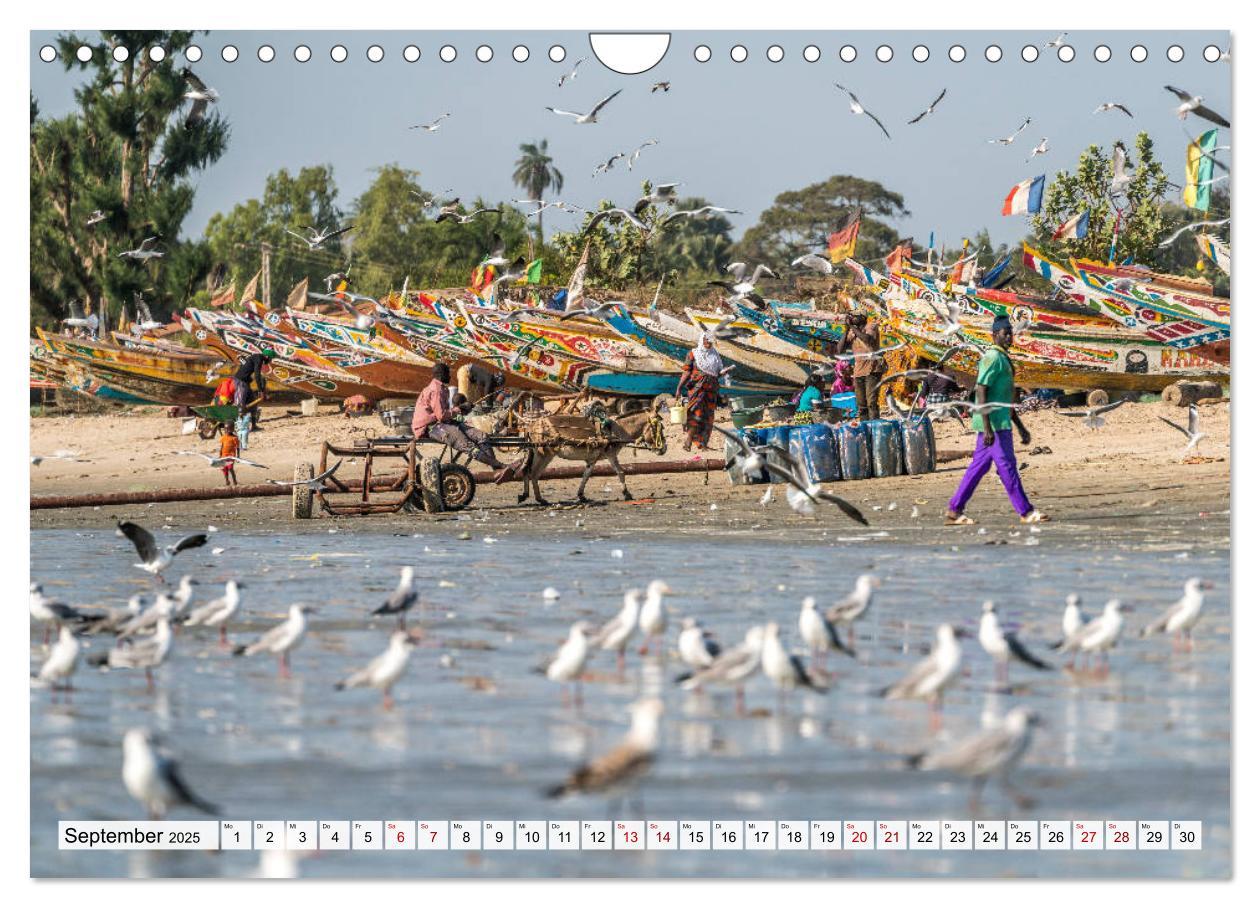 Bild: 9783435161638 | Westafrika - The Gambia (Wandkalender 2025 DIN A4 quer), CALVENDO...