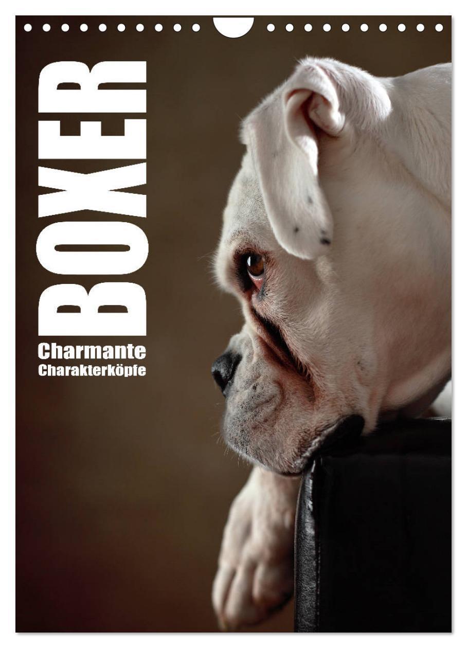 Cover: 9783457000533 | Boxer - Charmante Charakterköpfe (Wandkalender 2025 DIN A4 hoch),...