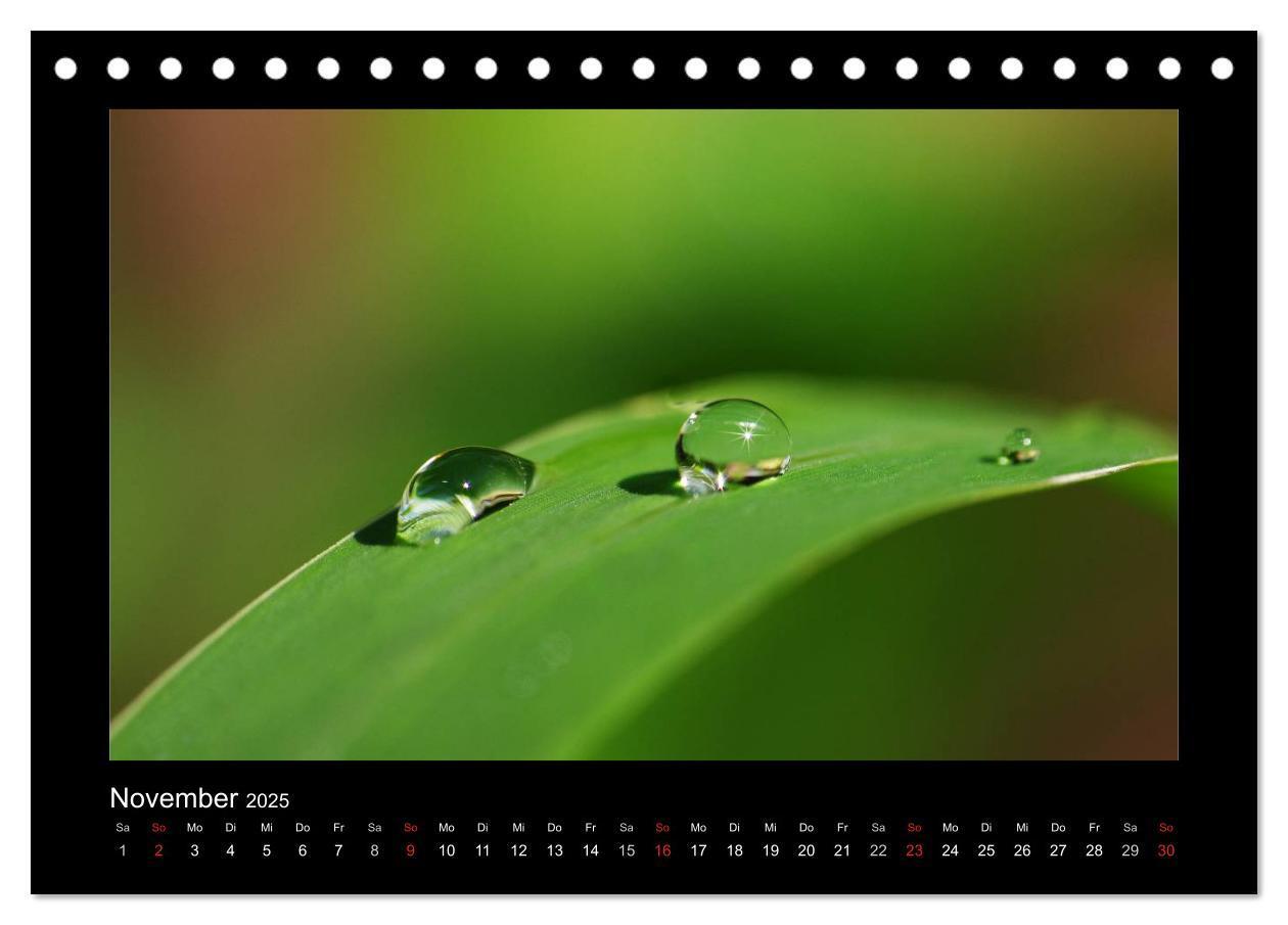 Bild: 9783435838981 | Meine kleine grüne Wassertropfen Welt (Tischkalender 2025 DIN A5...