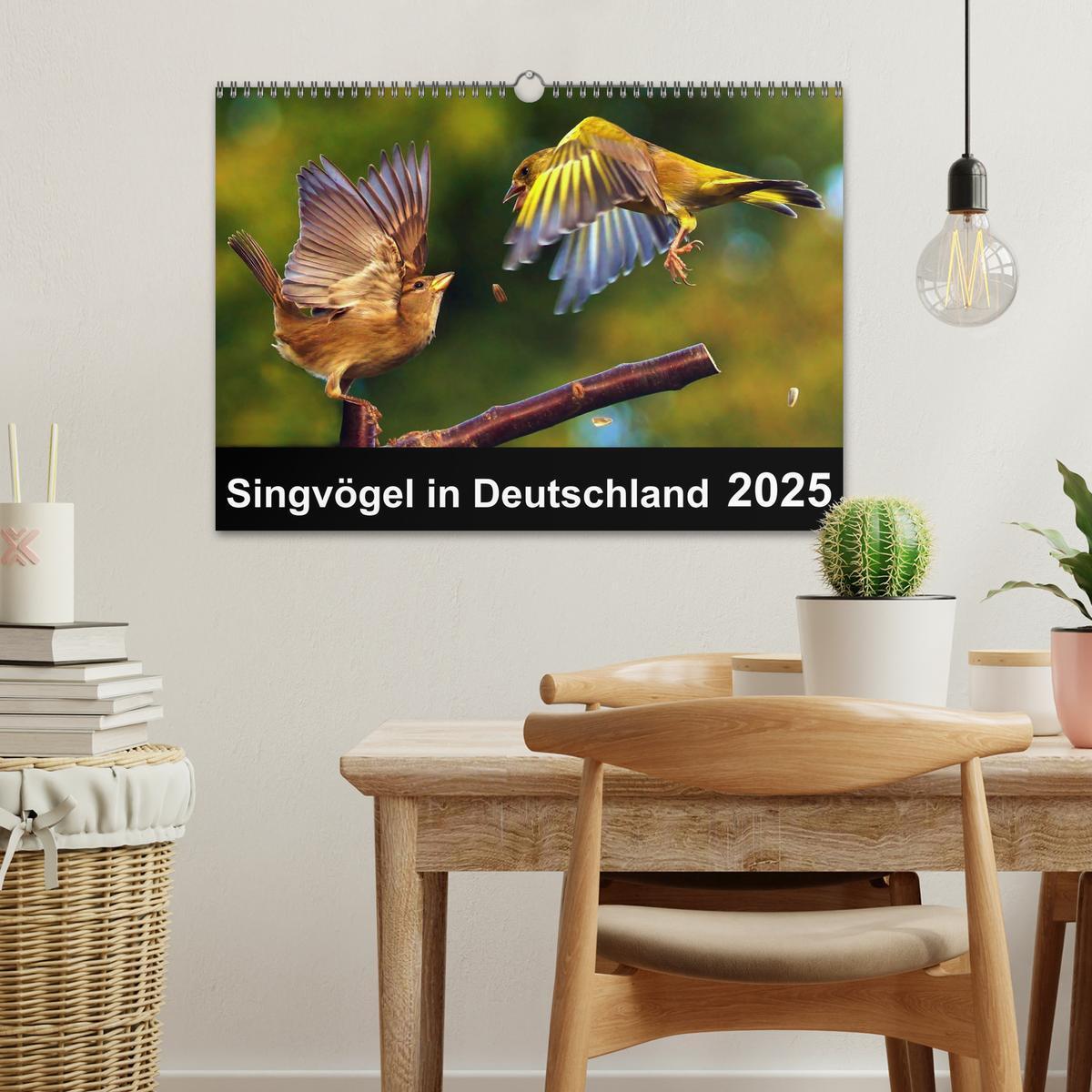 Bild: 9783435626144 | Singvögel in Deutschland (Wandkalender 2025 DIN A3 quer), CALVENDO...