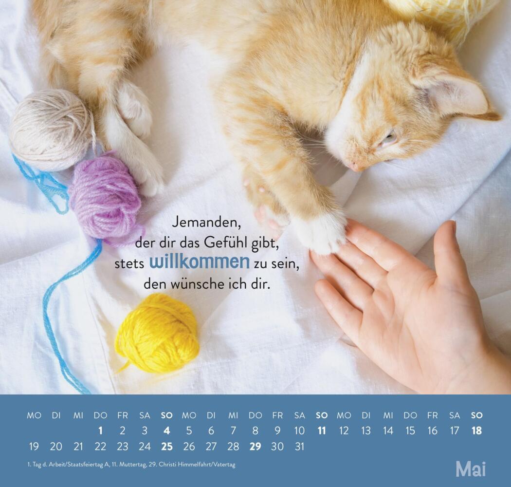 Bild: 4036442011898 | Wandkalender 2025: Einfach mal abhängen | Groh Verlag | Kalender