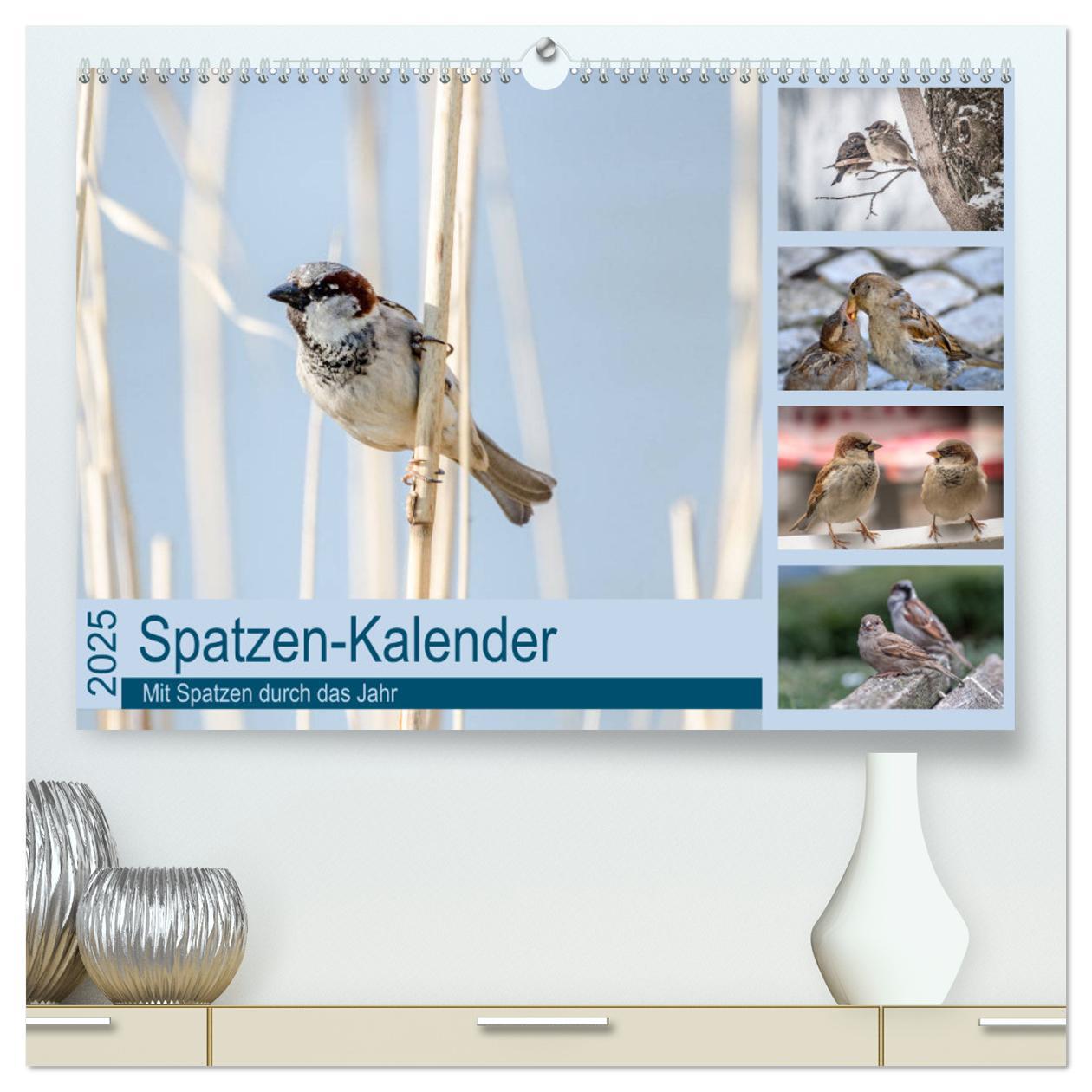 Cover: 9783435786138 | Spatzen-Kalender (hochwertiger Premium Wandkalender 2025 DIN A2...