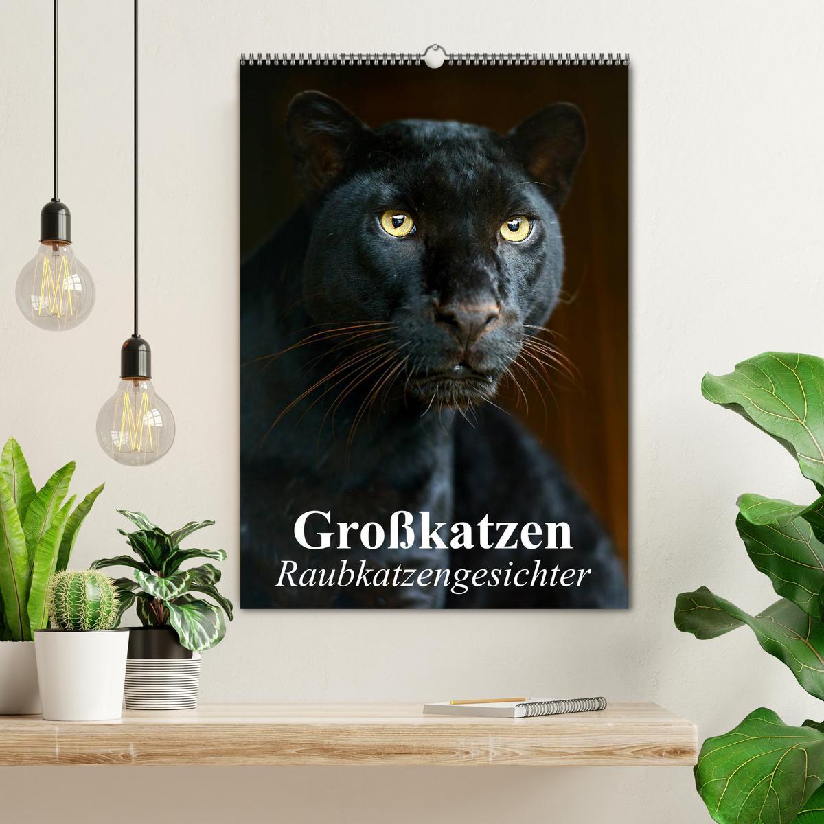 Bild: 9783457065532 | Großkatzen. Raubkatzengesichter (Wandkalender 2025 DIN A2 hoch),...