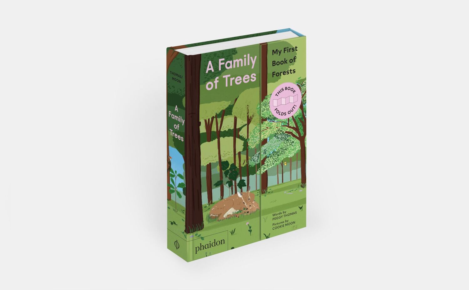 Bild: 9781838667917 | A Family of Trees | My First Book of Forests | Peggy Thomas (u. a.)