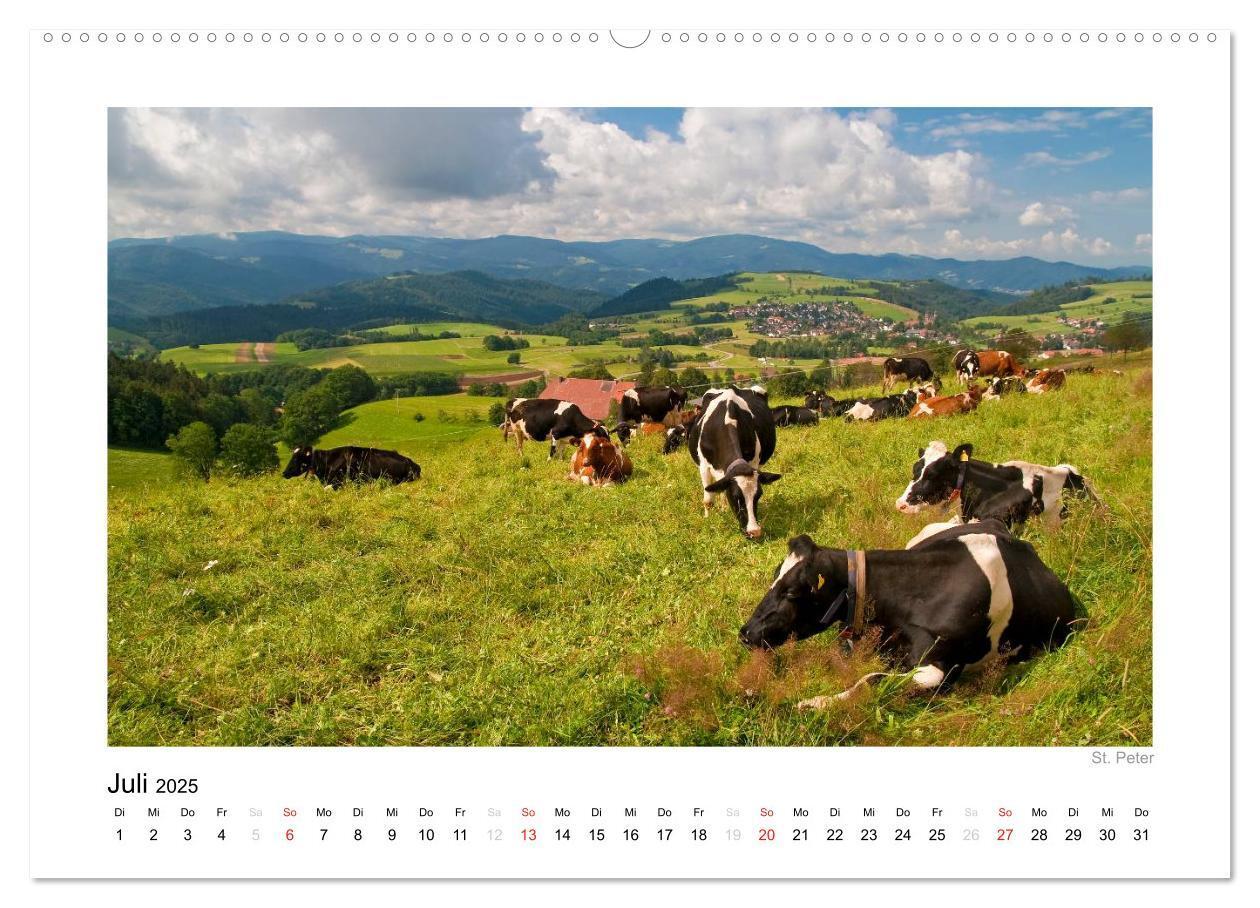 Bild: 9783435817375 | Schwarzwald 2025 (Wandkalender 2025 DIN A2 quer), CALVENDO...