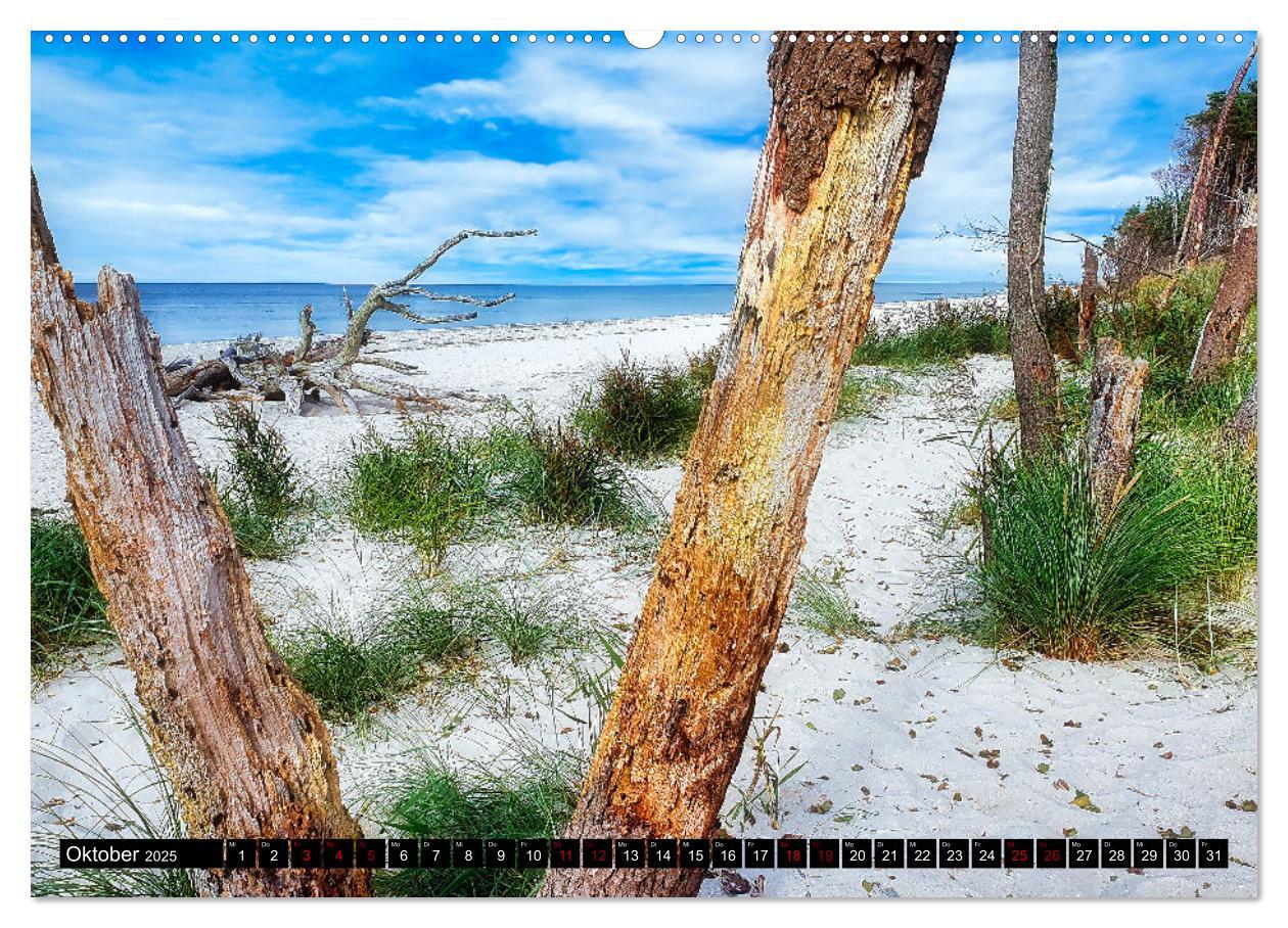 Bild: 9783435023547 | Fischland - Darß- Zingst (Wandkalender 2025 DIN A2 quer), CALVENDO...