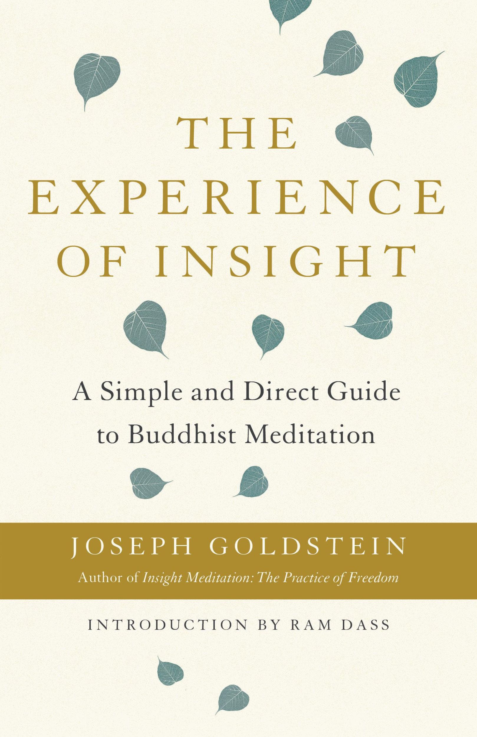 Cover: 9781611808162 | The Experience of Insight | Joseph Goldstein | Taschenbuch | Englisch