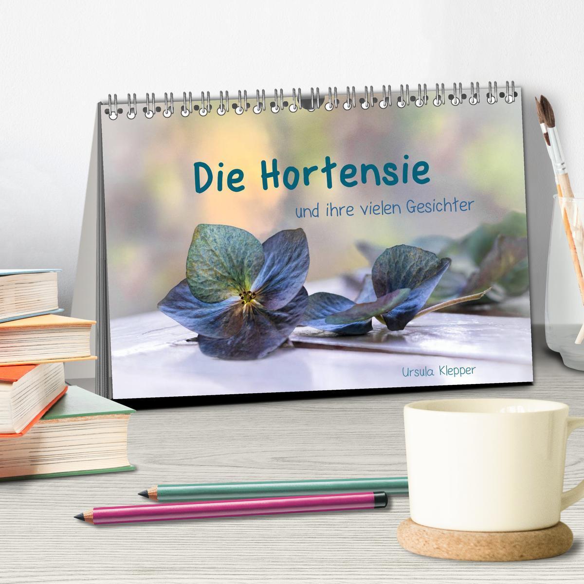 Bild: 9783435506040 | Die Hortensie und ihre vielen Gesichter (Tischkalender 2025 DIN A5...