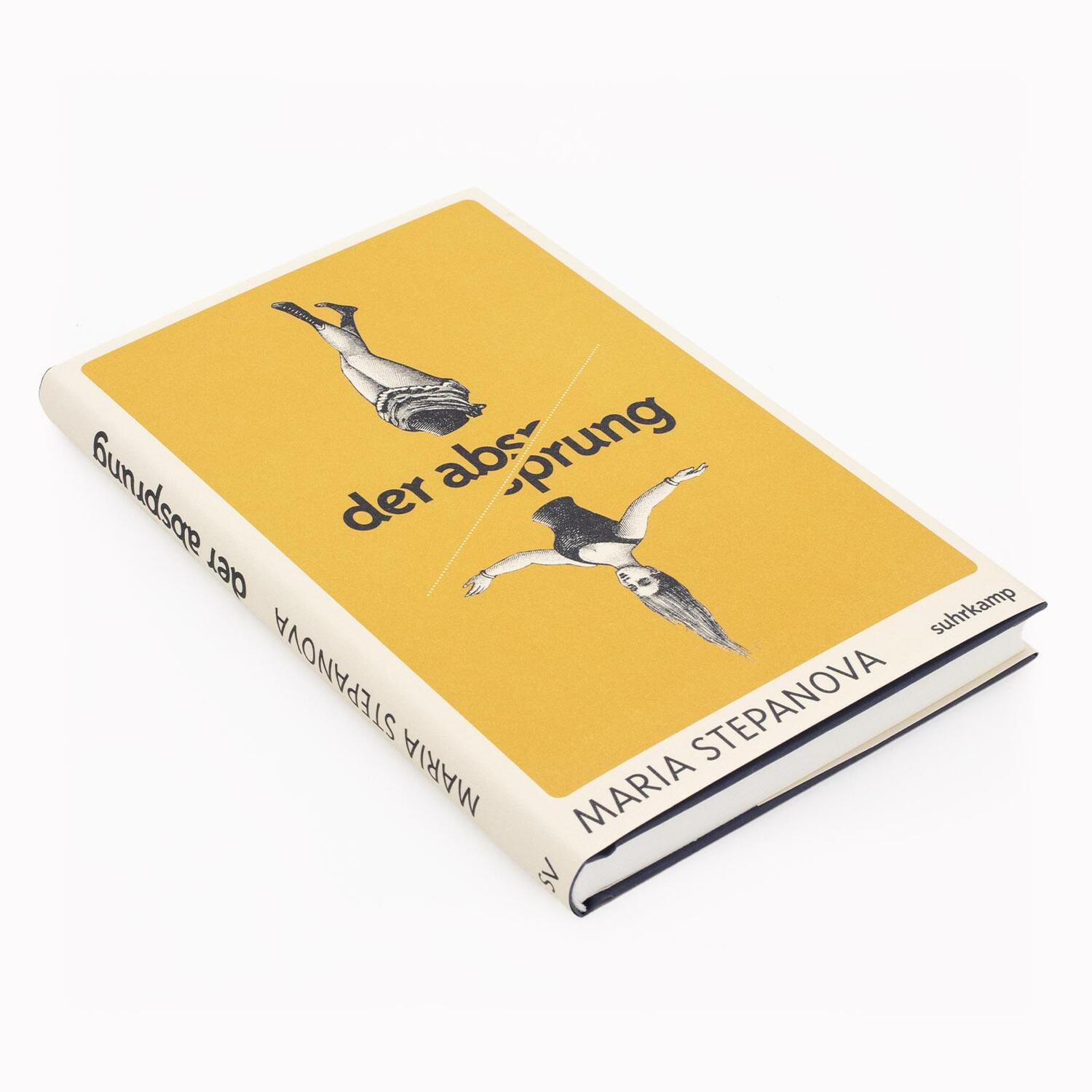 Bild: 9783518431979 | Der Absprung | Roman Vom Wunsch, aus der Welt zu verschwinden | Buch