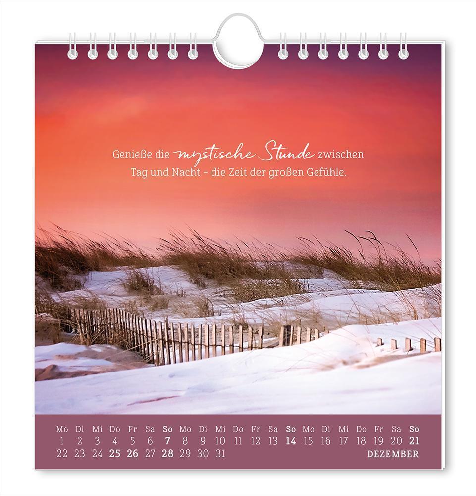 Bild: 9783986361167 | Postkartenkalender 2025 Strandgut | Postkartenkalender | Original