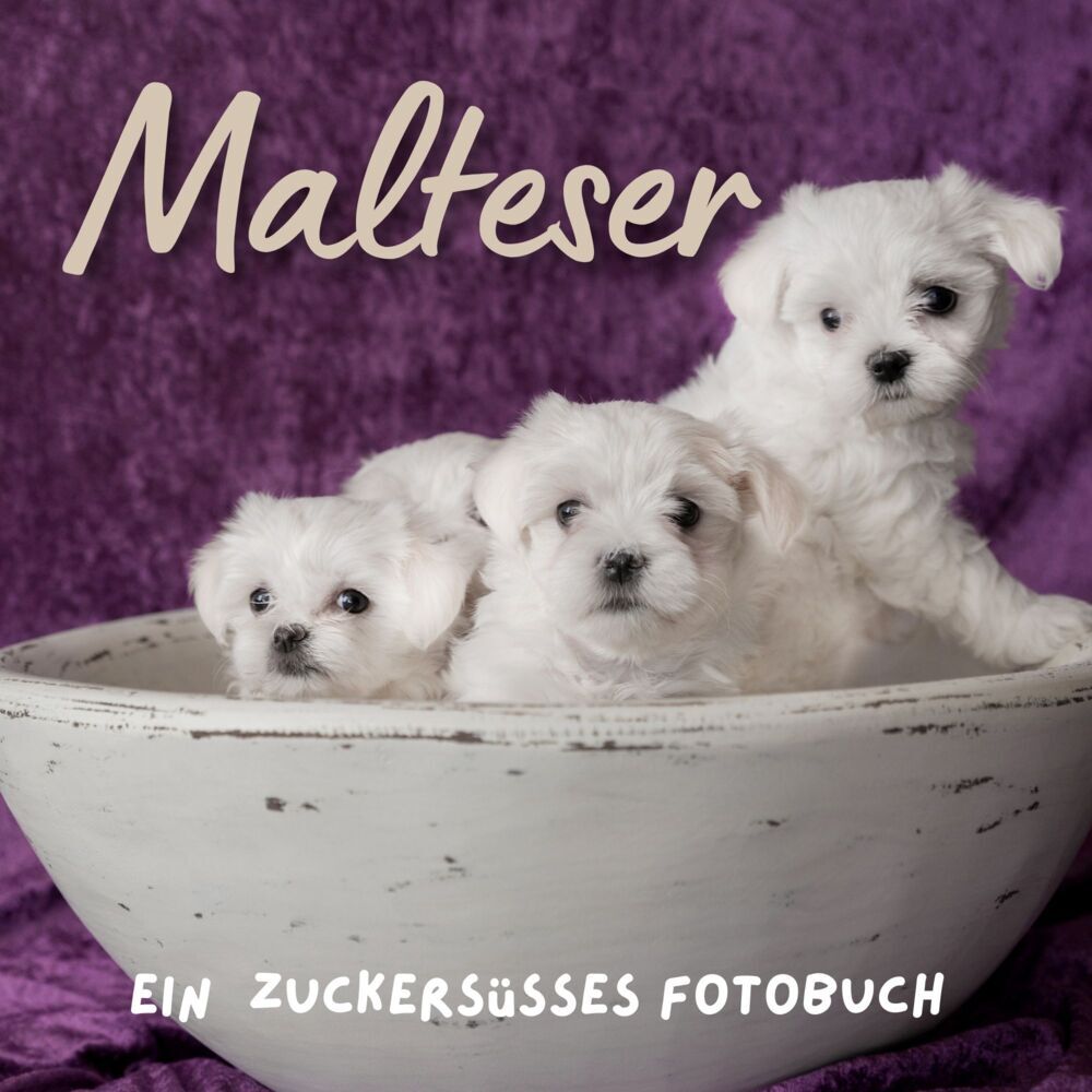 Cover: 9783750514065 | Malteser | Ein Fotobuch | Inés de Juan | Taschenbuch | 42 S. | Deutsch