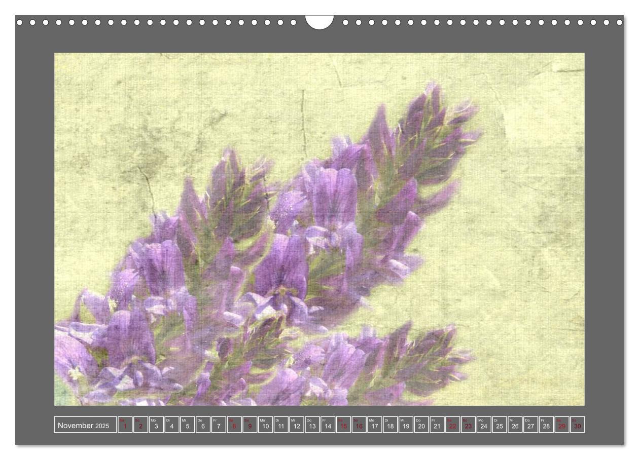 Bild: 9783435835409 | Blumen für dich (Wandkalender 2025 DIN A3 quer), CALVENDO...