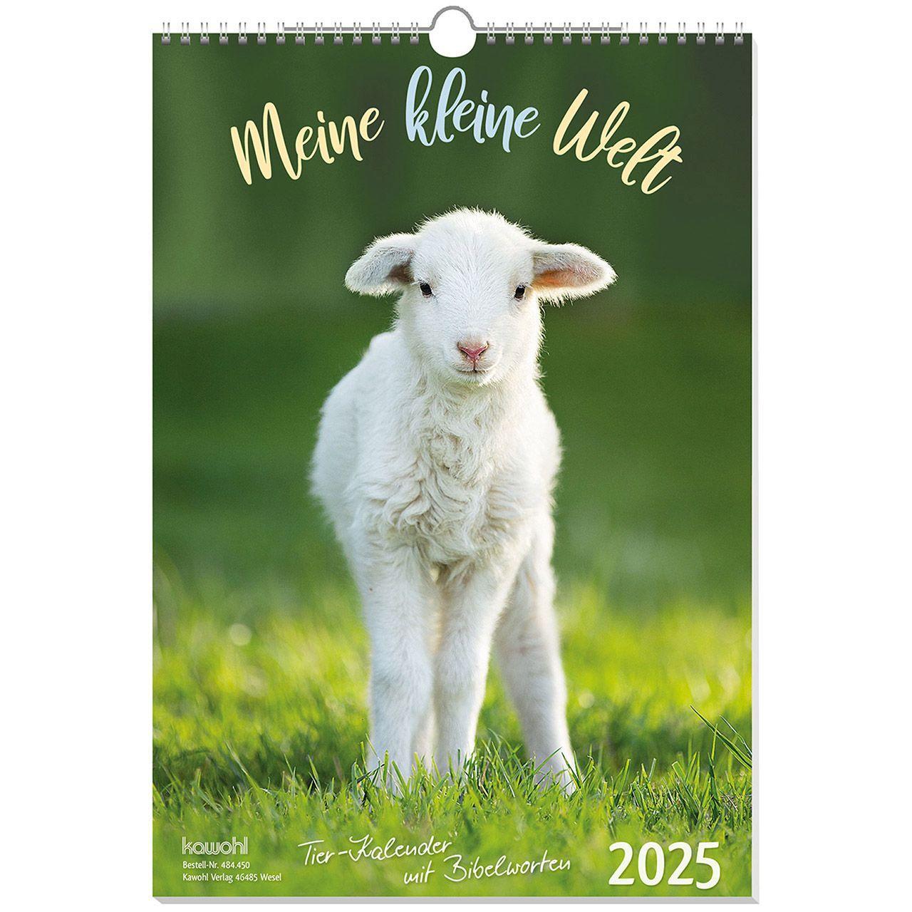 Cover: 9783754845059 | Meine kleine Welt 2025 | Kalender | 14 S. | Deutsch | 2025