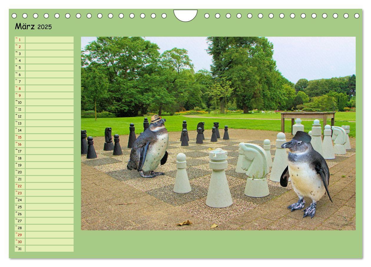 Bild: 9783435313877 | Pinguine privat Planer (Wandkalender 2025 DIN A4 quer), CALVENDO...