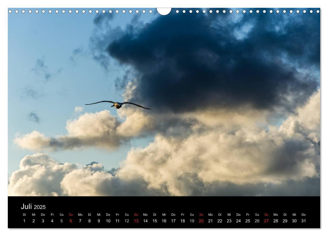 Bild: 9783435655847 | Wolkenmalerei (Wandkalender 2025 DIN A3 quer), CALVENDO Monatskalender