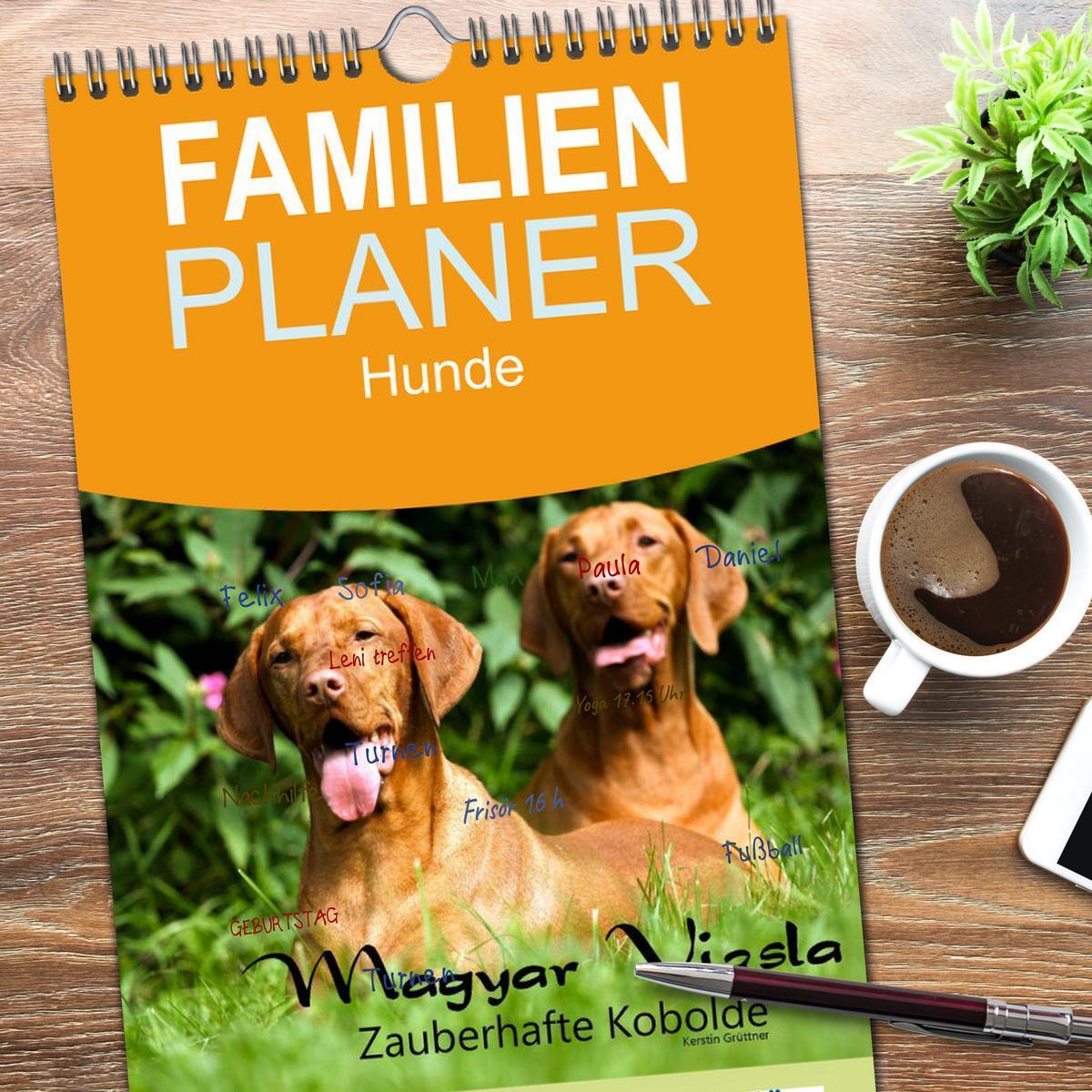 Bild: 9783457116685 | Familienplaner 2025 - Magyar Vizsla - Zauberhafte Kobolde mit 5...