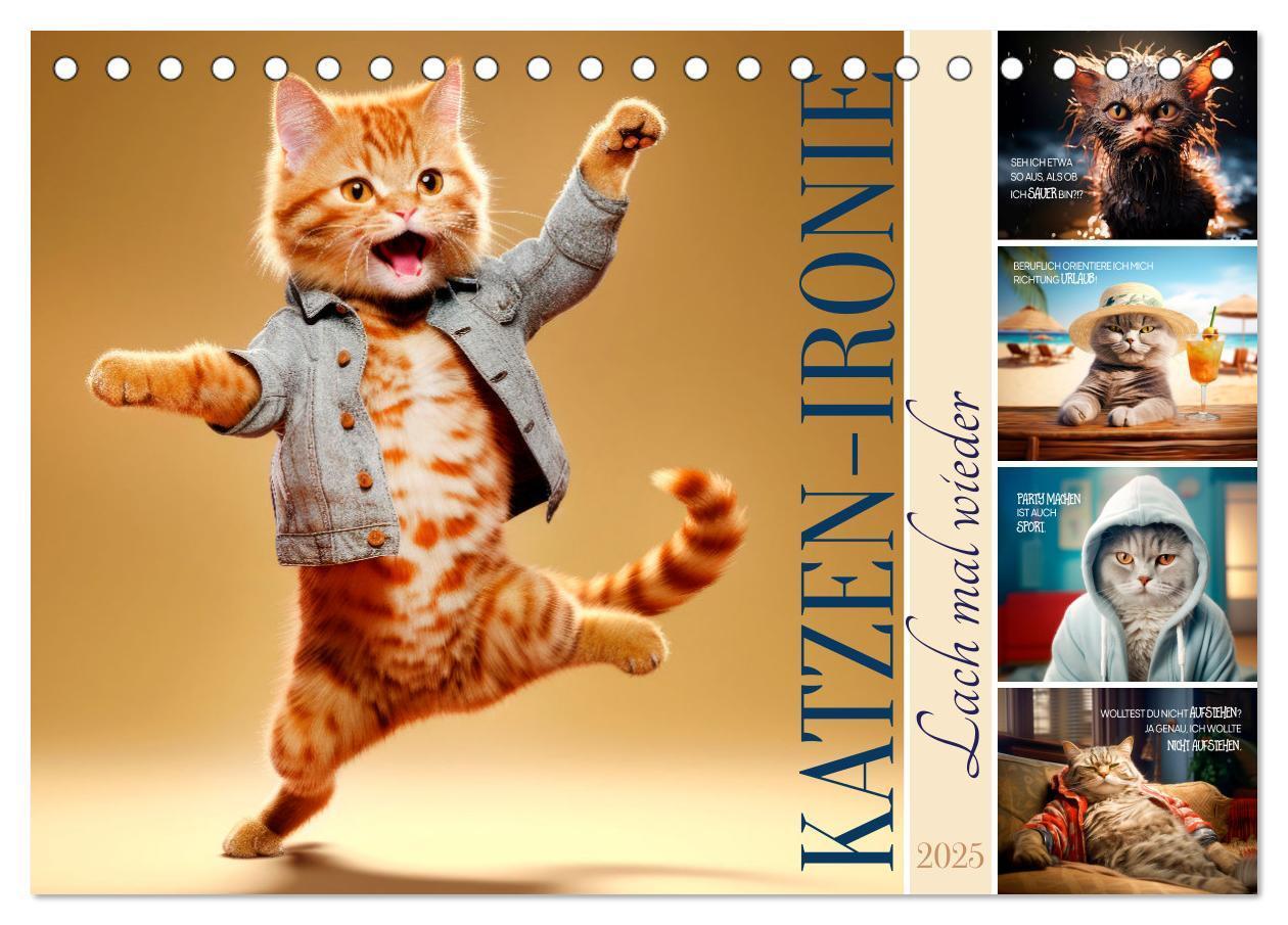 Cover: 9783383772047 | KATZEN-IRONIE Lach mal wieder (Tischkalender 2025 DIN A5 quer),...