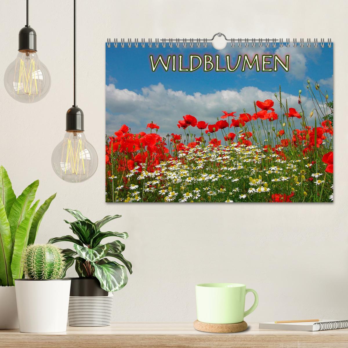 Bild: 9783435775132 | Wildblumen 2025 (Wandkalender 2025 DIN A4 quer), CALVENDO...