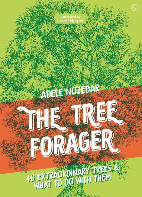 Cover: 9781786785473 | The Tree Forager: 40 Extraordinary Trees &amp; What to Do with Them | Buch