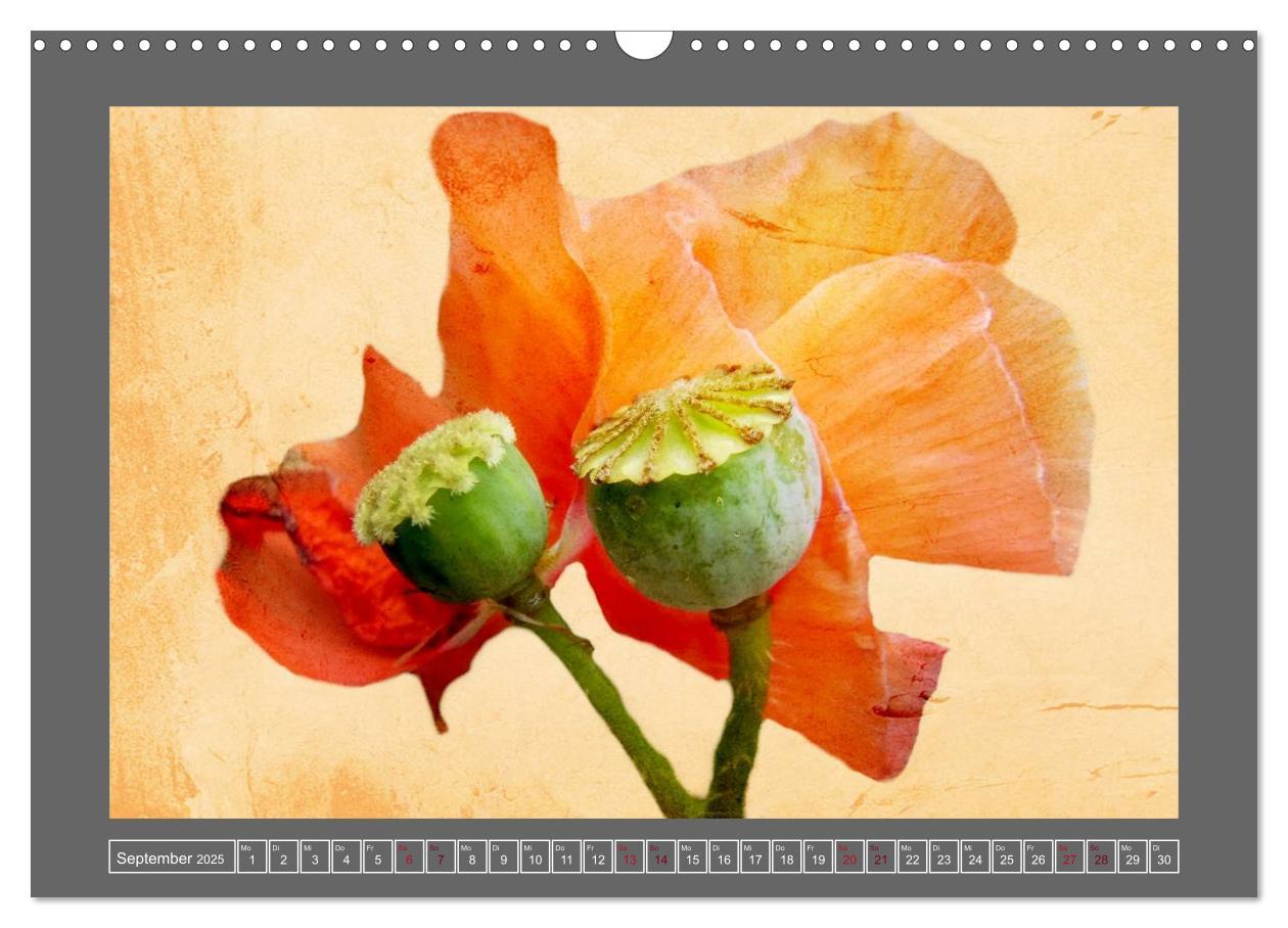 Bild: 9783435835409 | Blumen für dich (Wandkalender 2025 DIN A3 quer), CALVENDO...