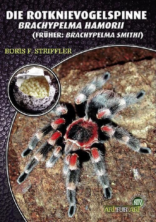 Cover: 9783937285108 | Die Rotknie Vogelspinne | Brachypelma smithi | Boris Striffler | Buch