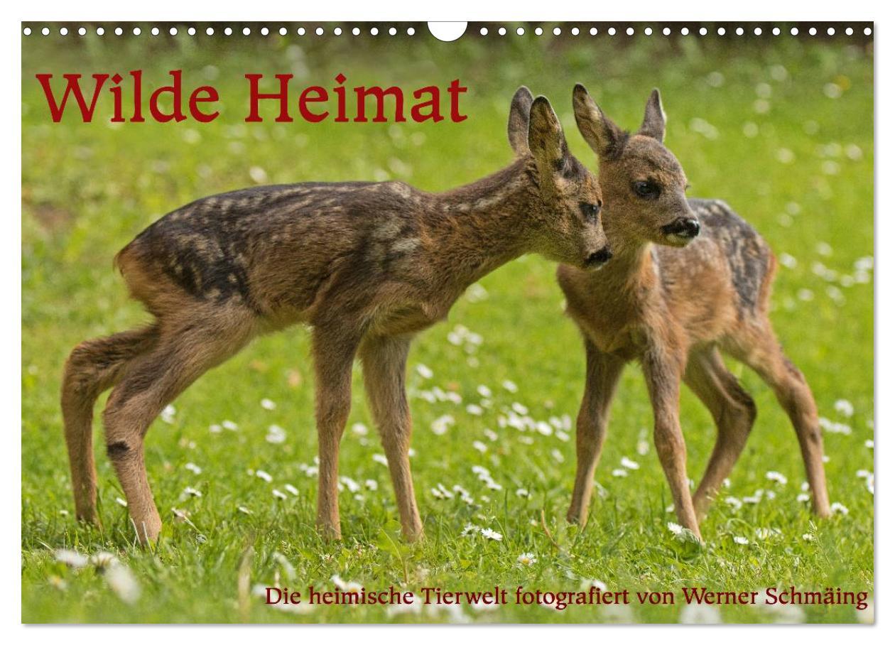 Cover: 9783435556878 | Wilde Heimat (Wandkalender 2025 DIN A3 quer), CALVENDO Monatskalender