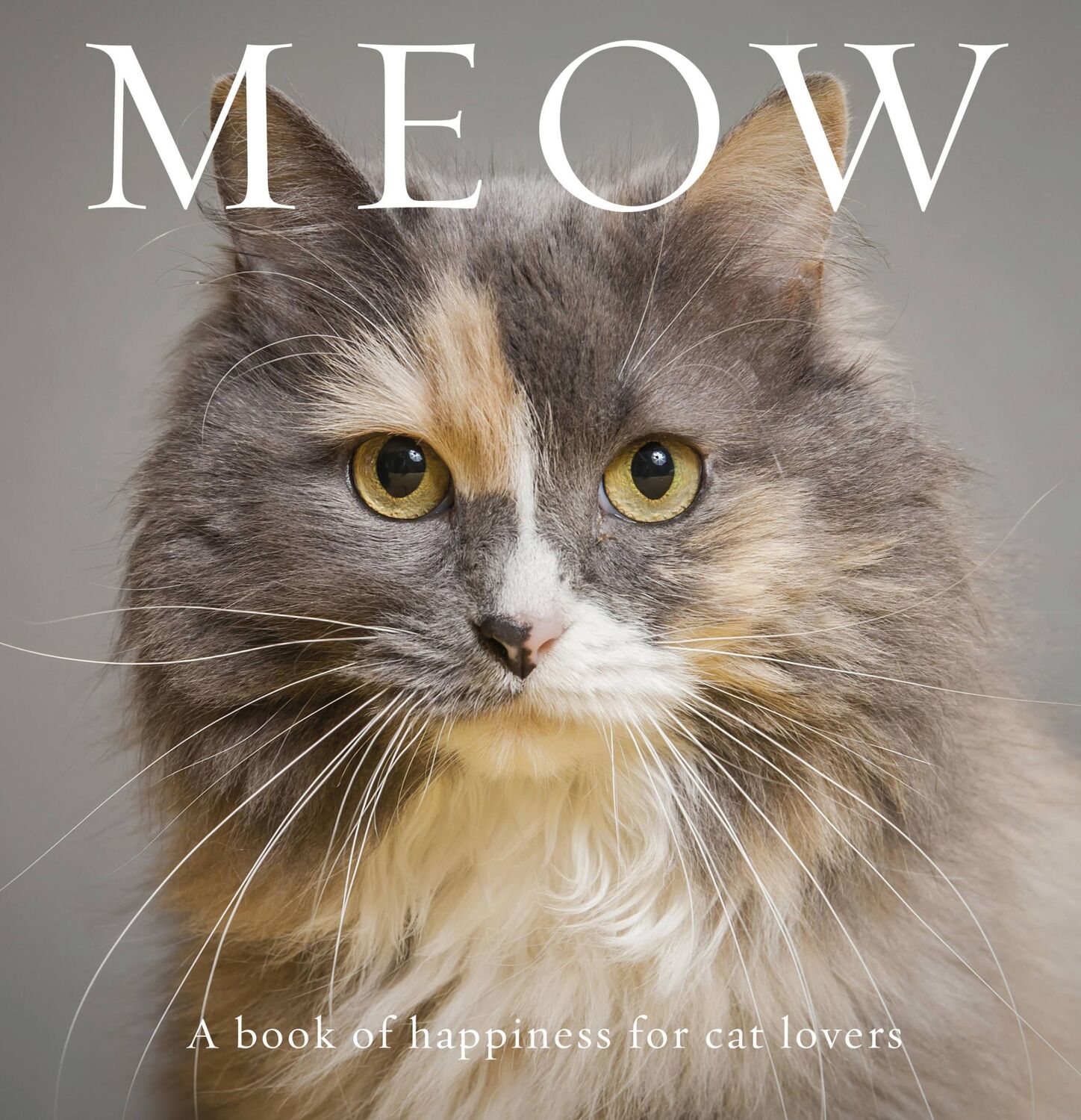 Cover: 9781925820225 | Meow | A Book of Happiness for Cat Lovers | Anouska Jones | Buch