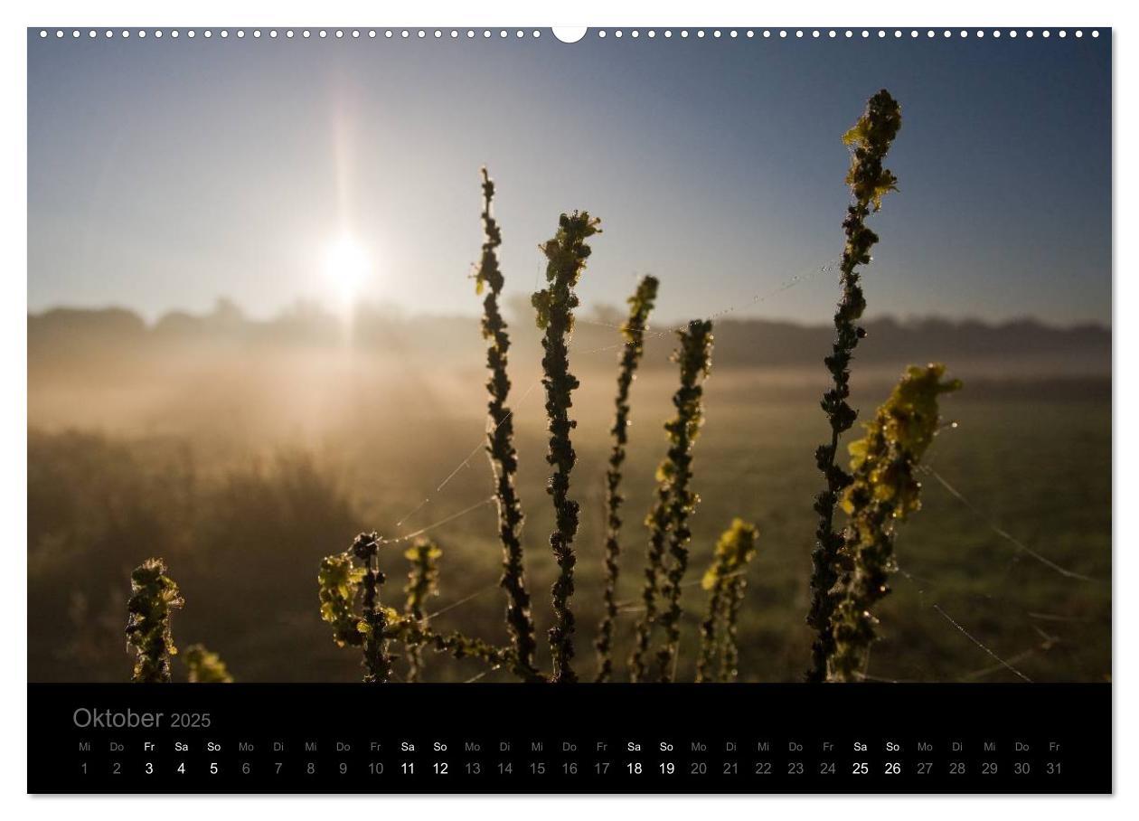 Bild: 9783435802128 | Natur im Detail (Wandkalender 2025 DIN A2 quer), CALVENDO...