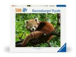 Cover: 4005555003694 | Ravensburger Puzzle 12000369 Süßer roter Panda - 500 Teile Puzzle...