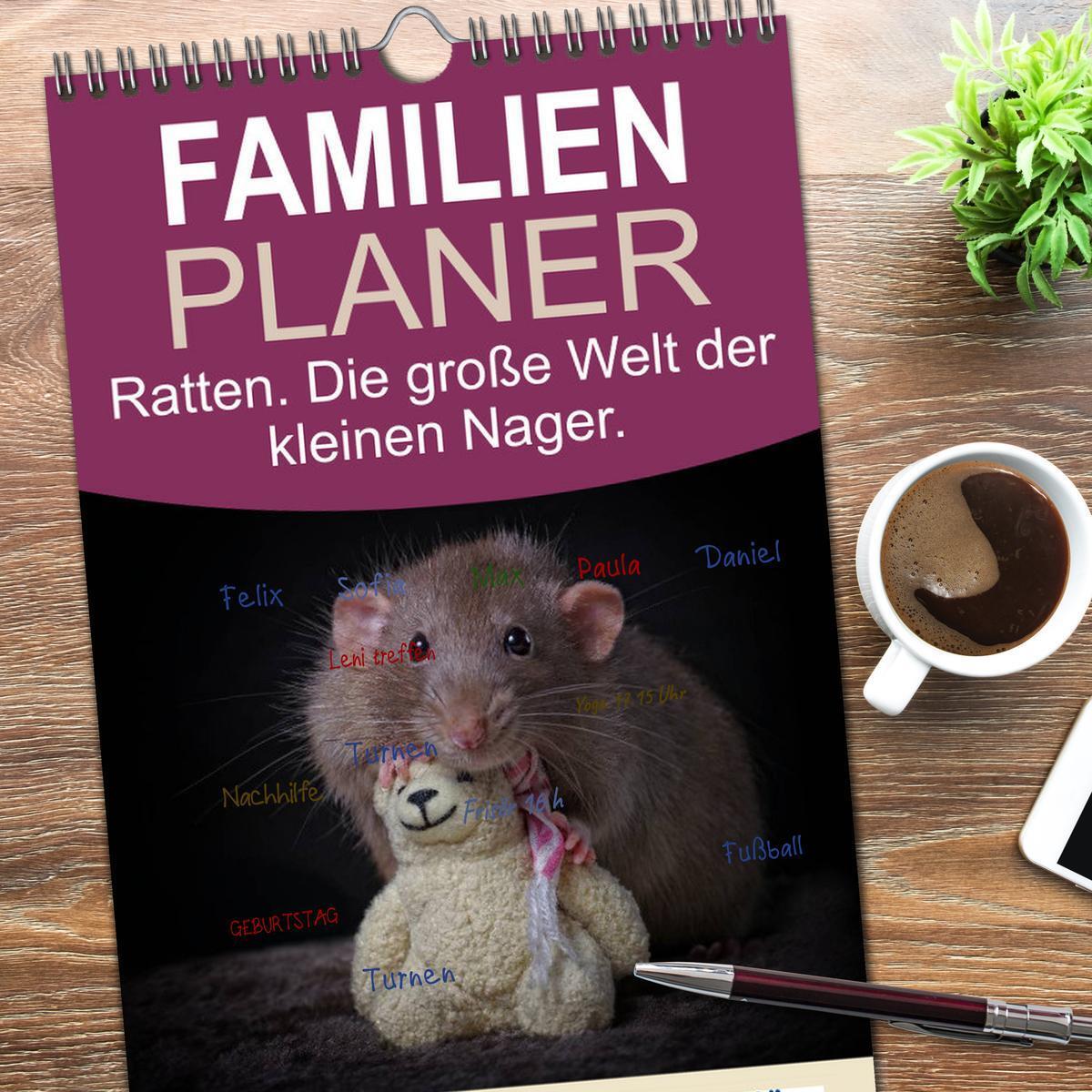 Bild: 9783457113684 | Familienplaner 2025 - Ratten. Die große Welt der kleinen Nager mit...