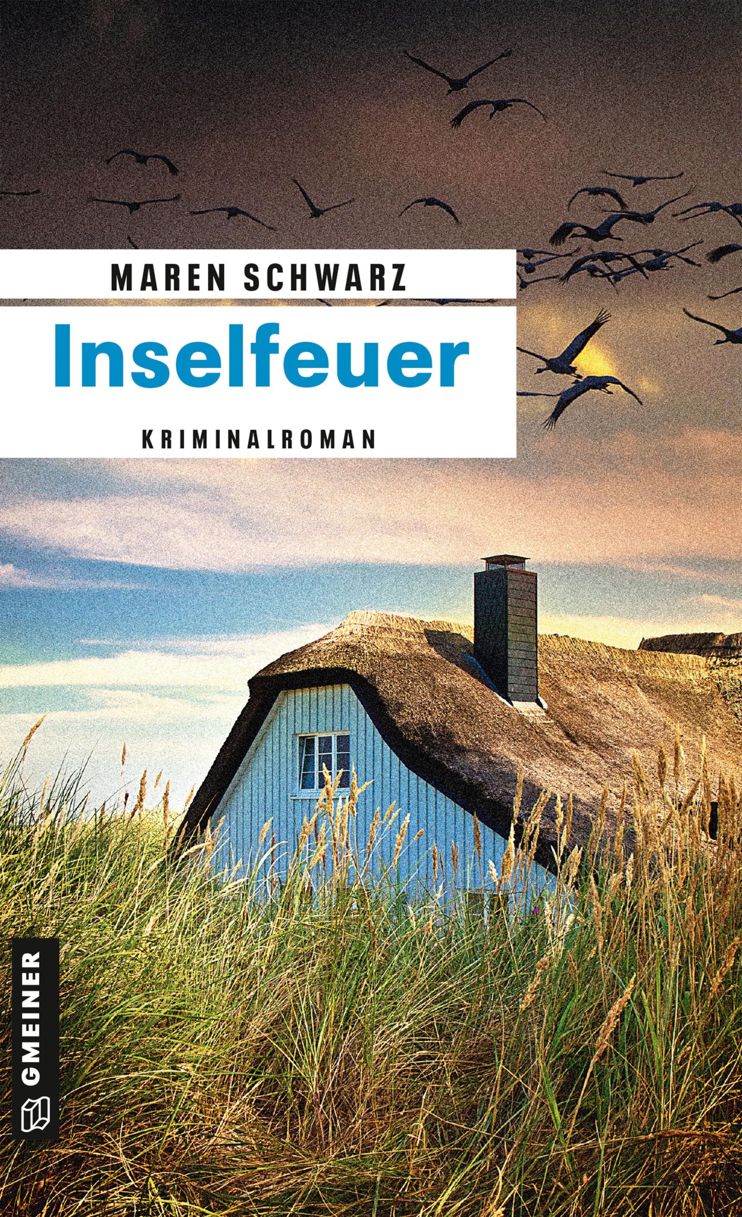 Cover: 9783839217412 | Inselfeuer | Maren Schwarz | Taschenbuch | 248 S. | Deutsch | 2015