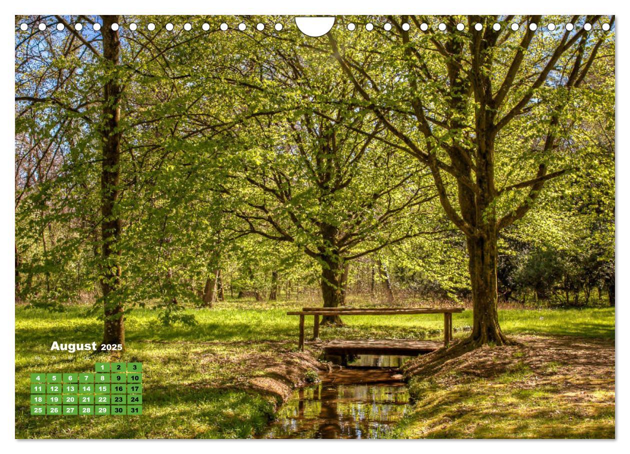 Bild: 9783383971464 | Park Schönbusch Aschaffenburg (Wandkalender 2025 DIN A4 quer),...