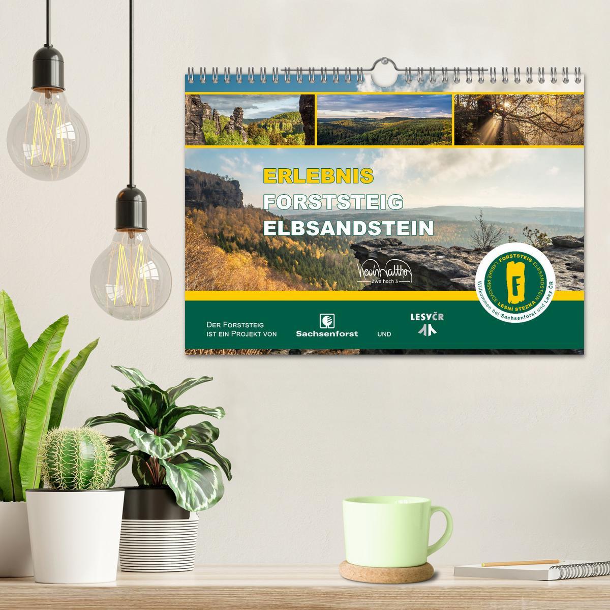 Bild: 9783383919145 | Erlebnis Forststeig Elbsandstein (Wandkalender 2025 DIN A4 quer),...