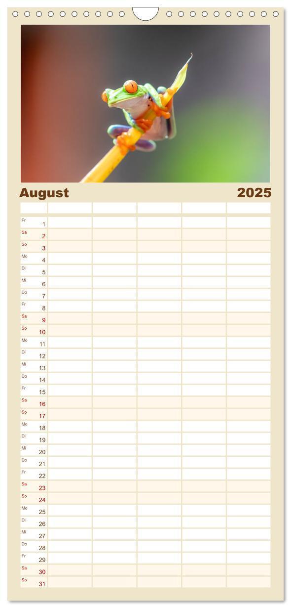 Bild: 9783457098332 | Familienplaner 2025 - Frösche - Die wunderschöne Welt der bunten...