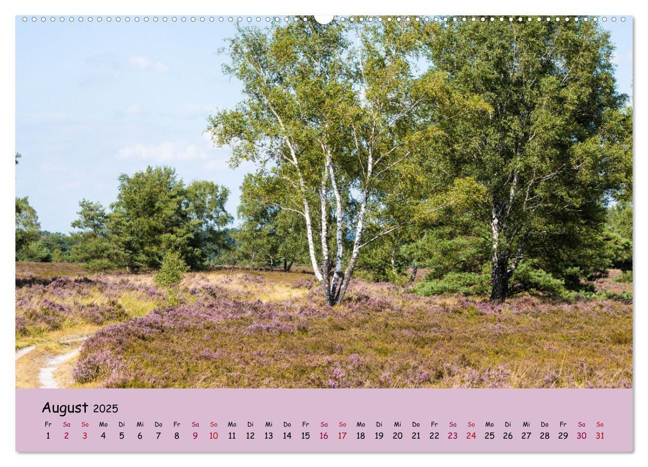 Bild: 9783435029747 | Lüneburger Heide Wege (Wandkalender 2025 DIN A2 quer), CALVENDO...