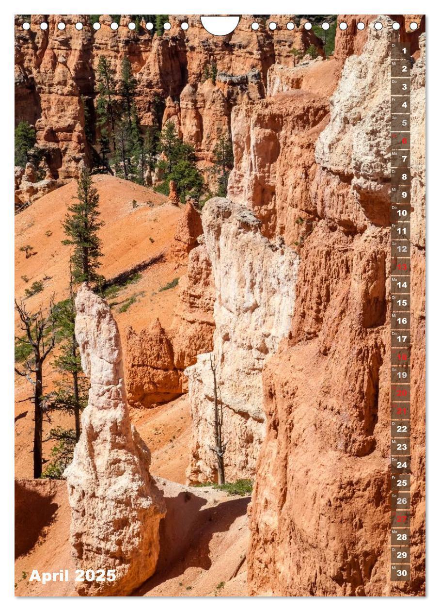 Bild: 9783435973507 | BRYCE CANYON Natur Pur (Wandkalender 2025 DIN A4 hoch), CALVENDO...