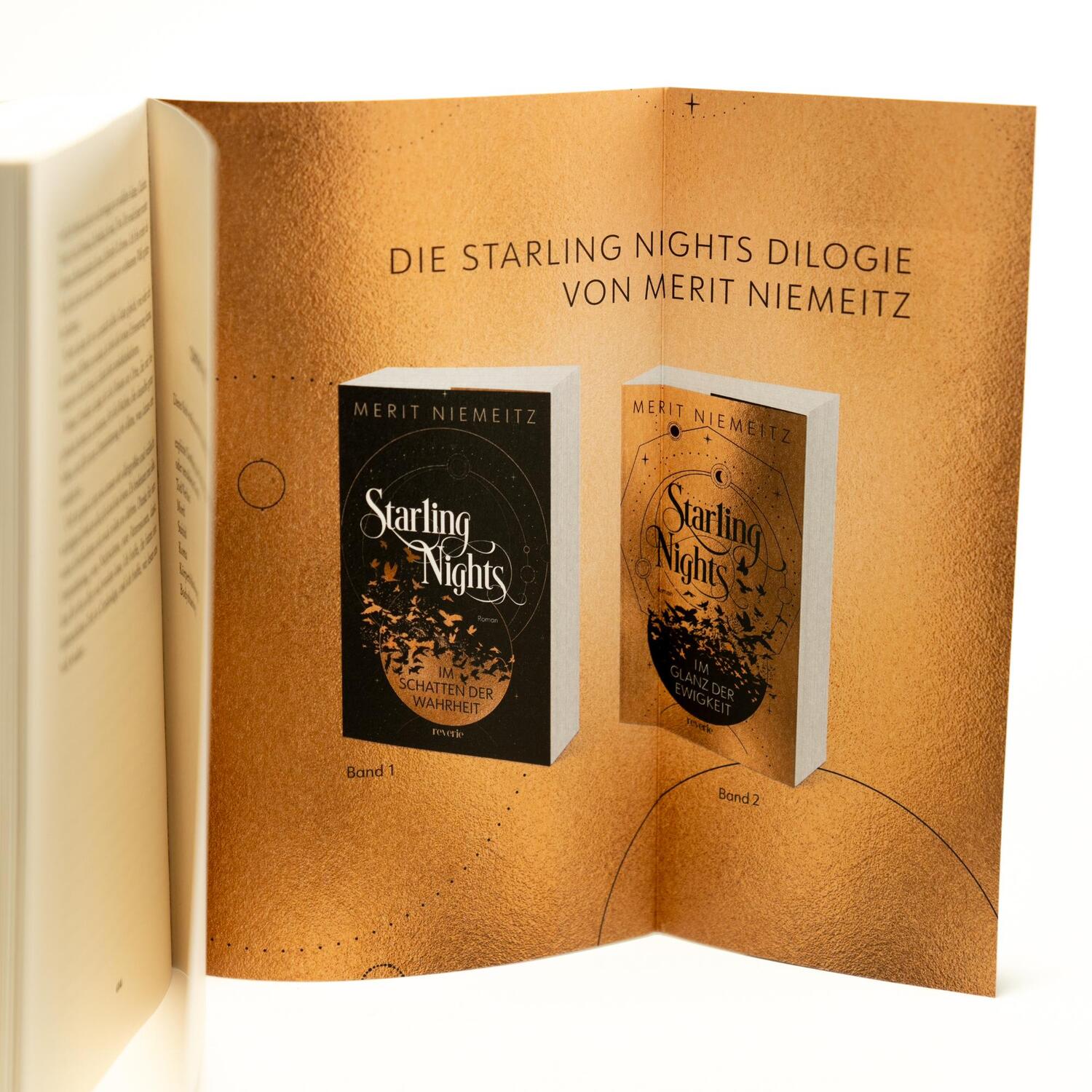 Bild: 9783745704099 | Starling Nights 2 | Im Glanz der Ewigkeit | Merit Niemeitz | Buch