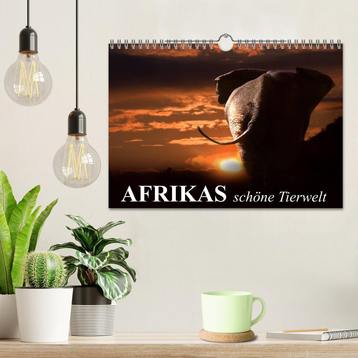 Bild: 9783435606573 | Afrikas schöne Tierwelt (Wandkalender 2025 DIN A4 quer), CALVENDO...