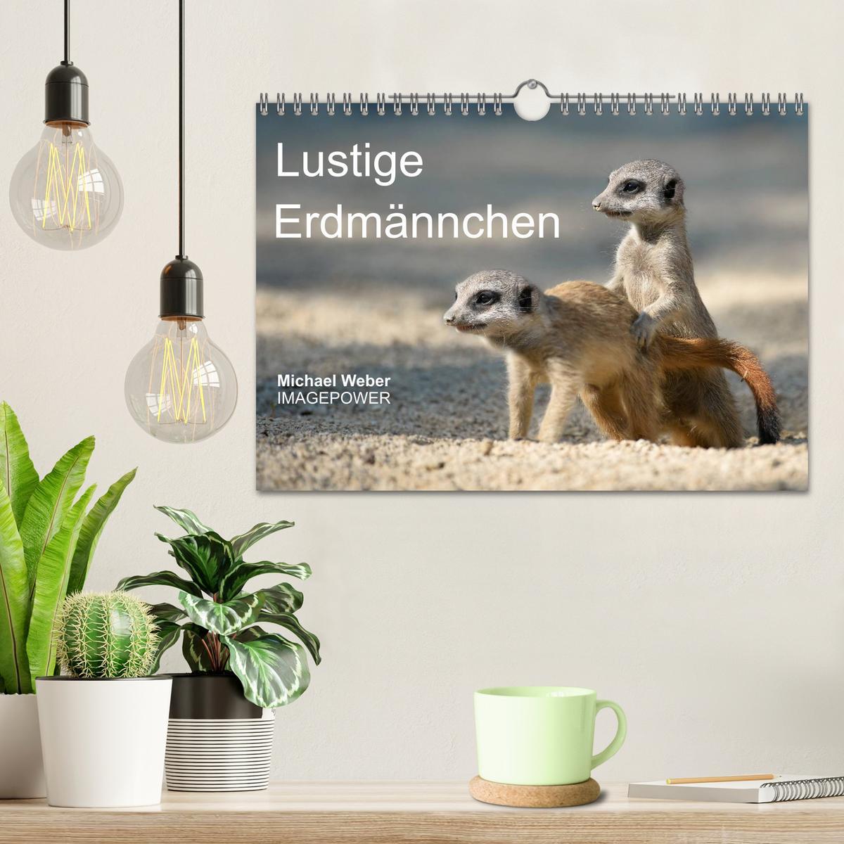 Bild: 9783435782451 | Lustige Erdmännchen (Wandkalender 2025 DIN A4 quer), CALVENDO...