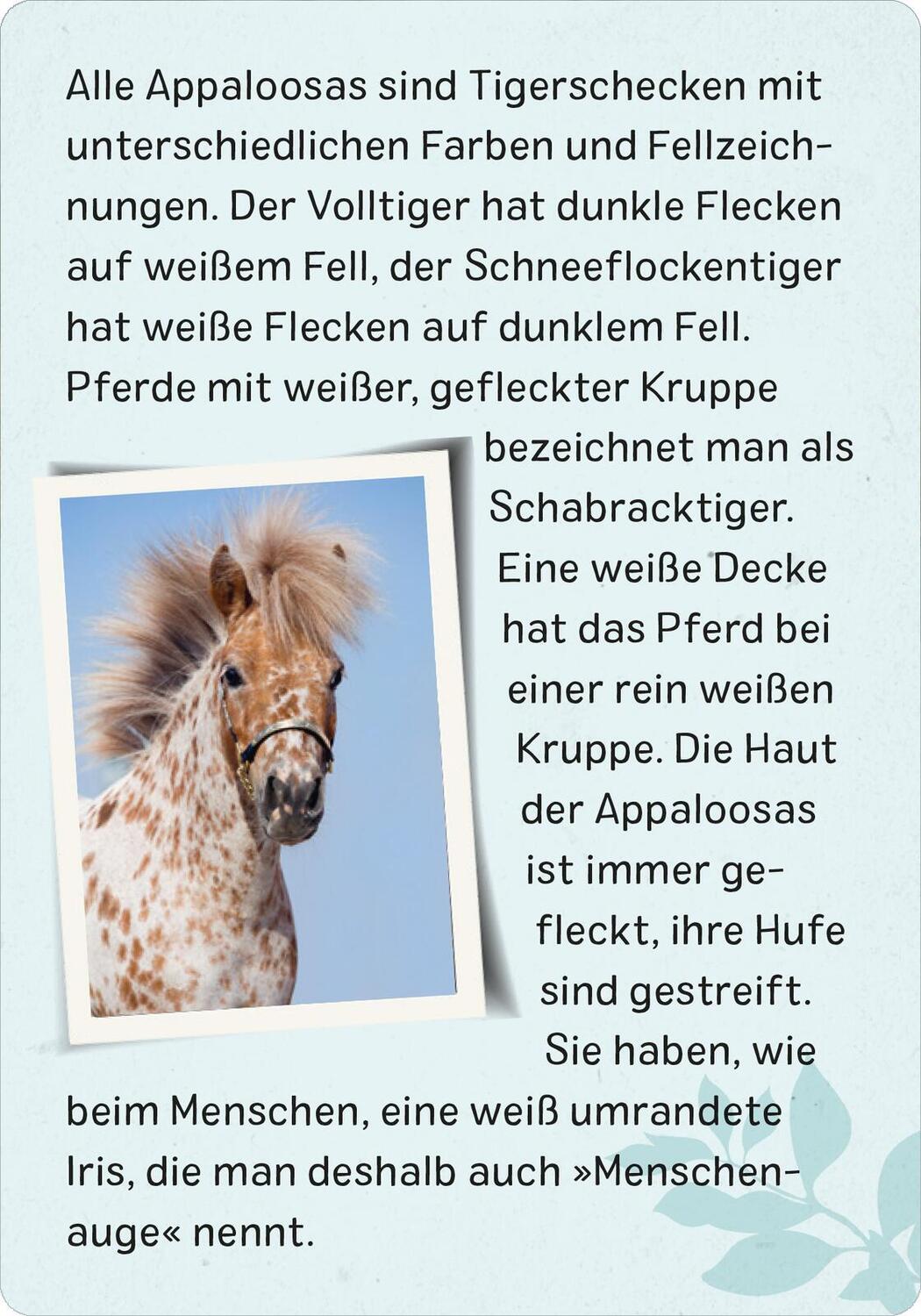 Bild: 9783845856582 | Naturforscher-Kids - Pferde &amp; Ponys | 50 Karten | Miriam Scholz | Buch