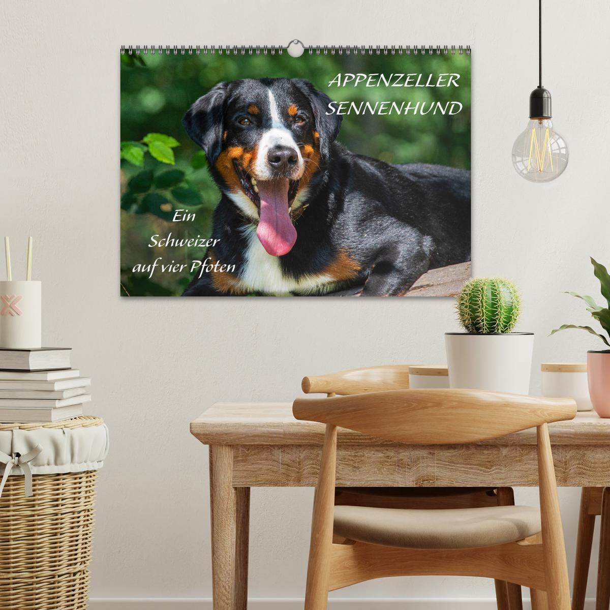 Bild: 9783435112630 | Appenzeller Sennenhund - Ein Schweizer auf 4 Pfoten (Wandkalender...