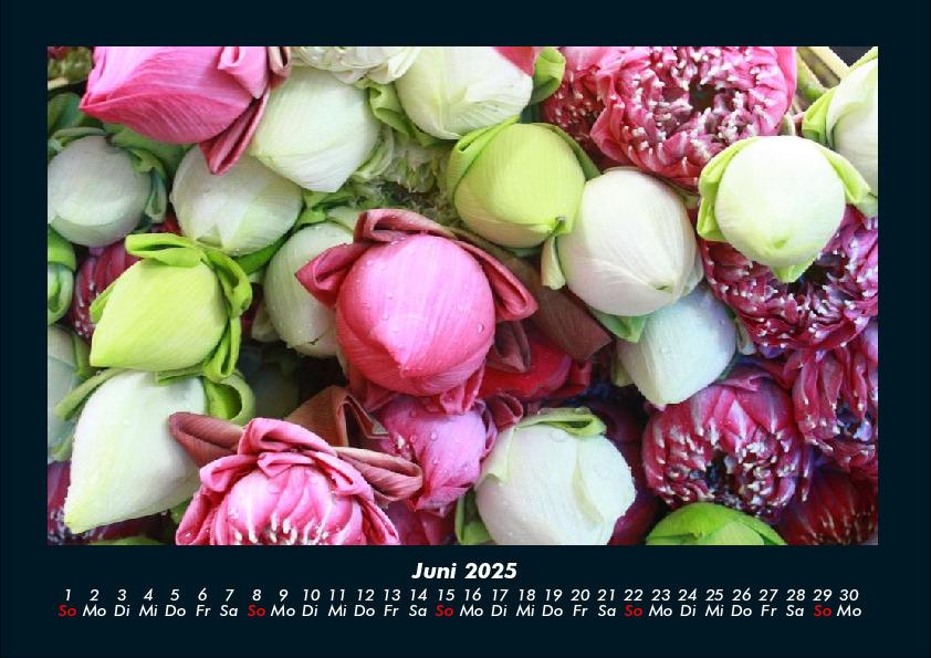 Bild: 9783755993346 | Blumenkalender 2025 Fotokalender DIN A4 | Tobias Becker | Kalender