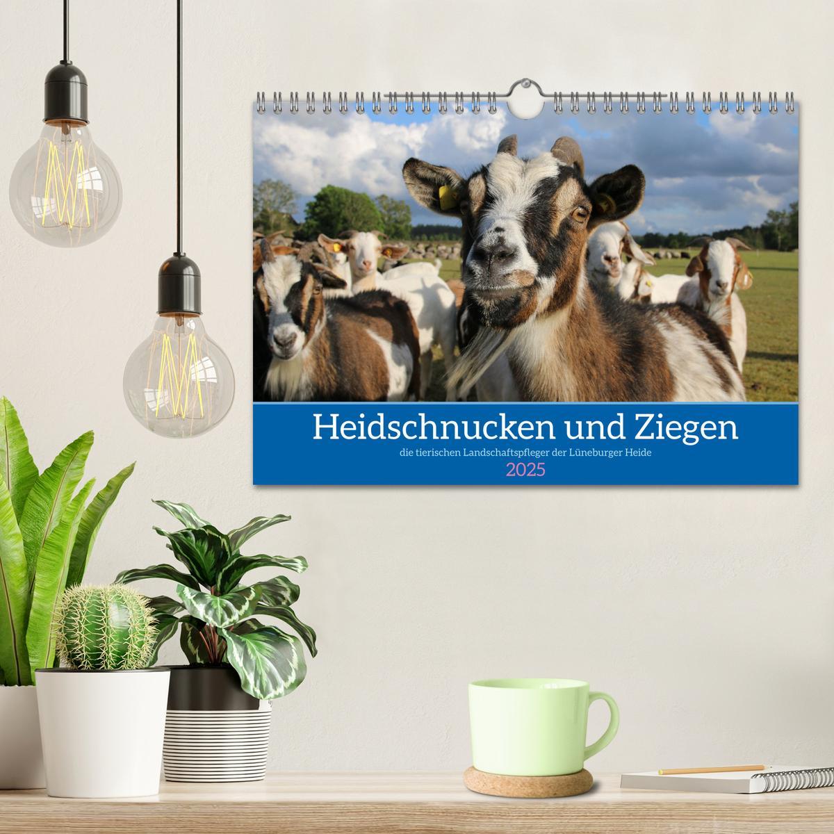 Bild: 9783383969867 | Heidschnucken und Ziegen die tierischen Landschaftspfleger der...