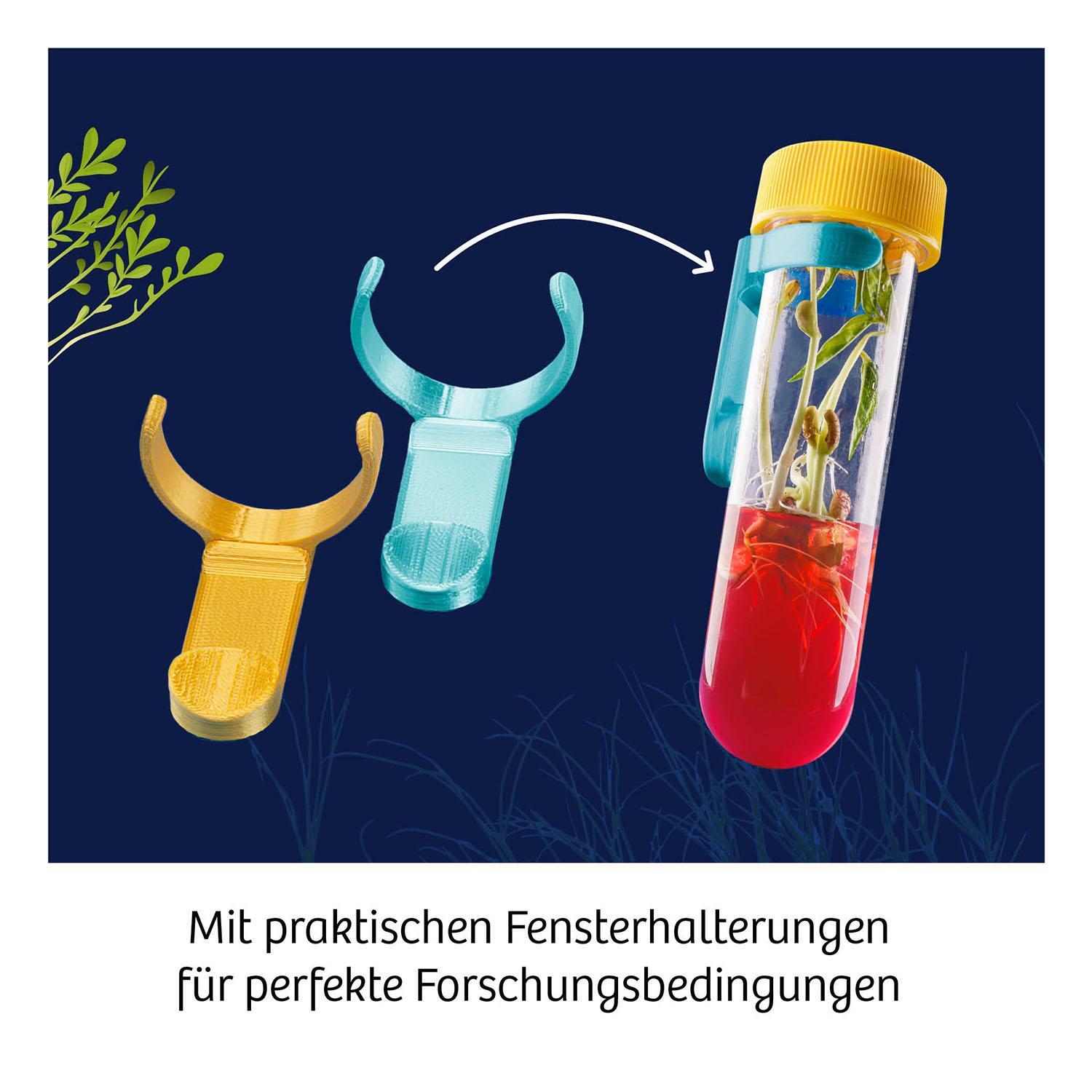 Bild: 4002051658168 | Fun Science Aqua-Gel-Pflanzen | Experimentierkasten | Spiel | 658168