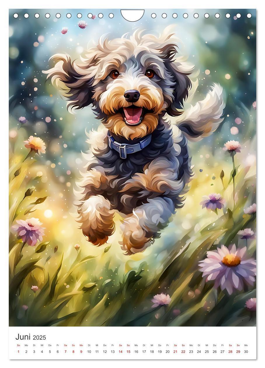 Bild: 9783383807046 | Der Aussiedoodle - Lebensfreude pur (Wandkalender 2025 DIN A4...