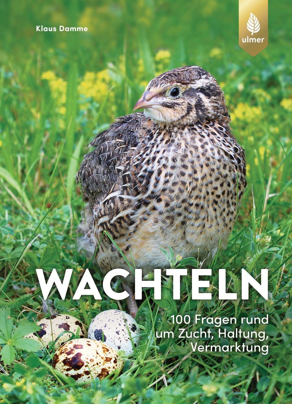 Cover: 9783818614225 | Wachteln | 100 Fragen rund um Zucht, Haltung, Vermarktung | Damme